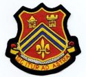 102nd Field Artillery Battalion Custom made Cloth Patch Online