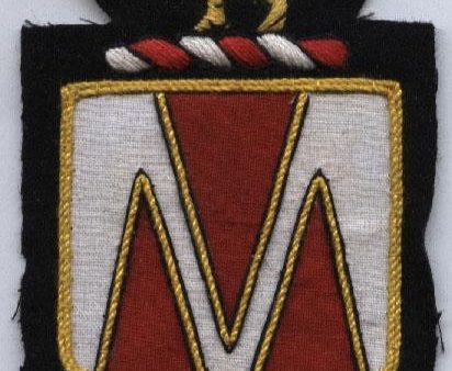 107th Medical Battalion Custom made Cloth Patch For Discount