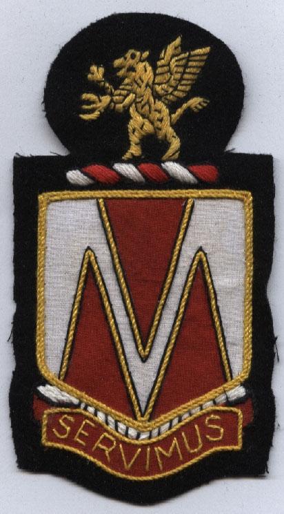 107th Medical Battalion Custom made Cloth Patch For Discount